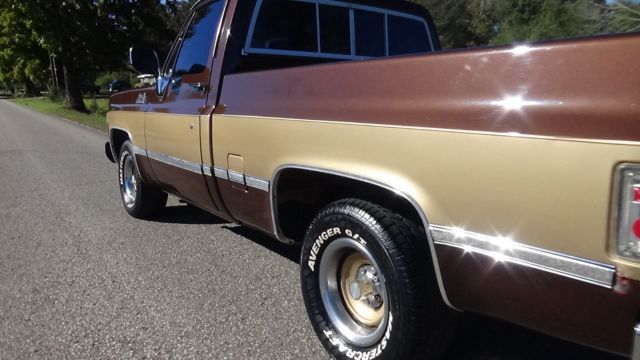 1977 GMC Sierra 1500 SIERRA CLASSIC - photo 4