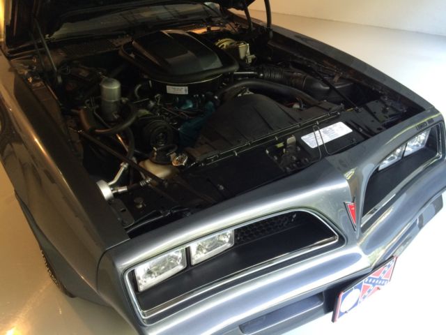 1977 Pontiac Trans Am Deluxe - photo 7