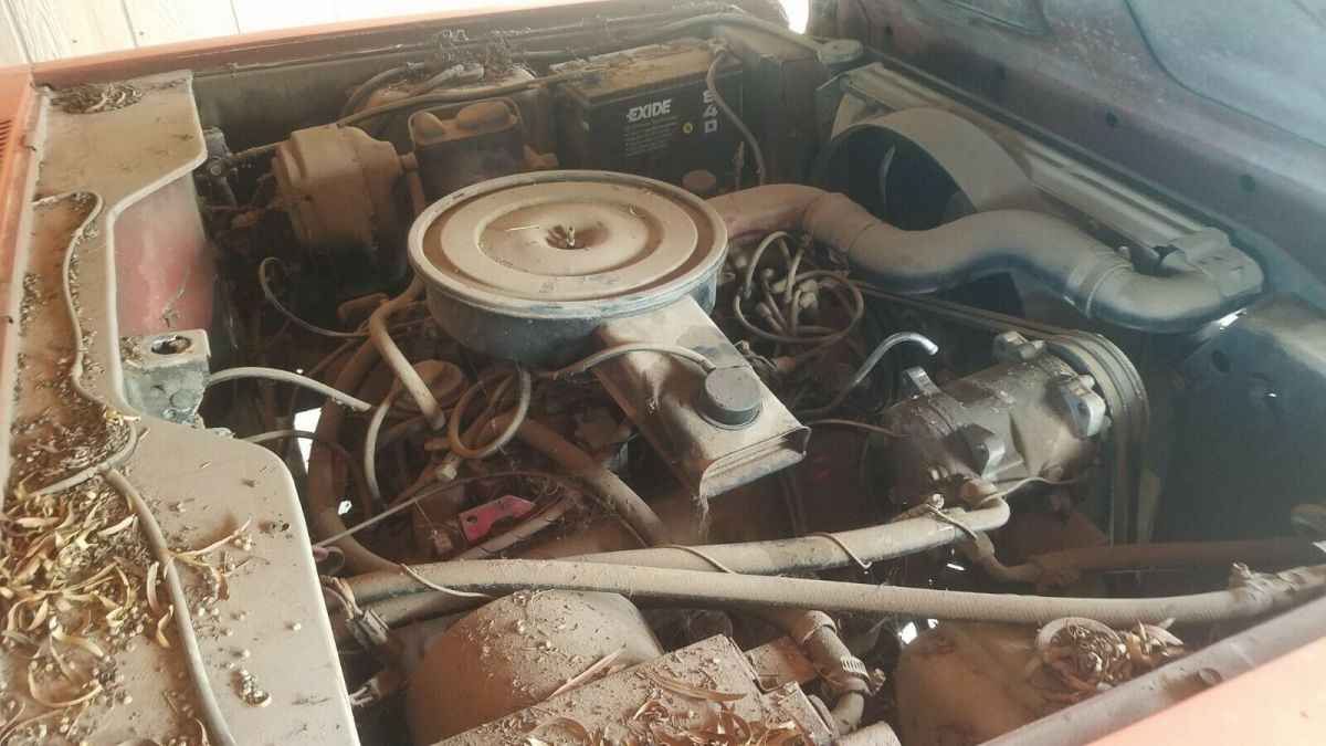 1977 International Harvester Scout - photo 9