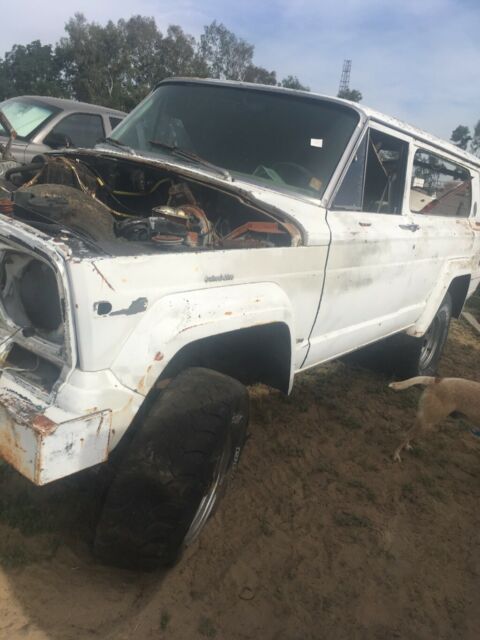 1977 Jeep Cherokee Cherokee Chief - photo 3