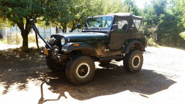 1977 Jeep CJ - photo 2