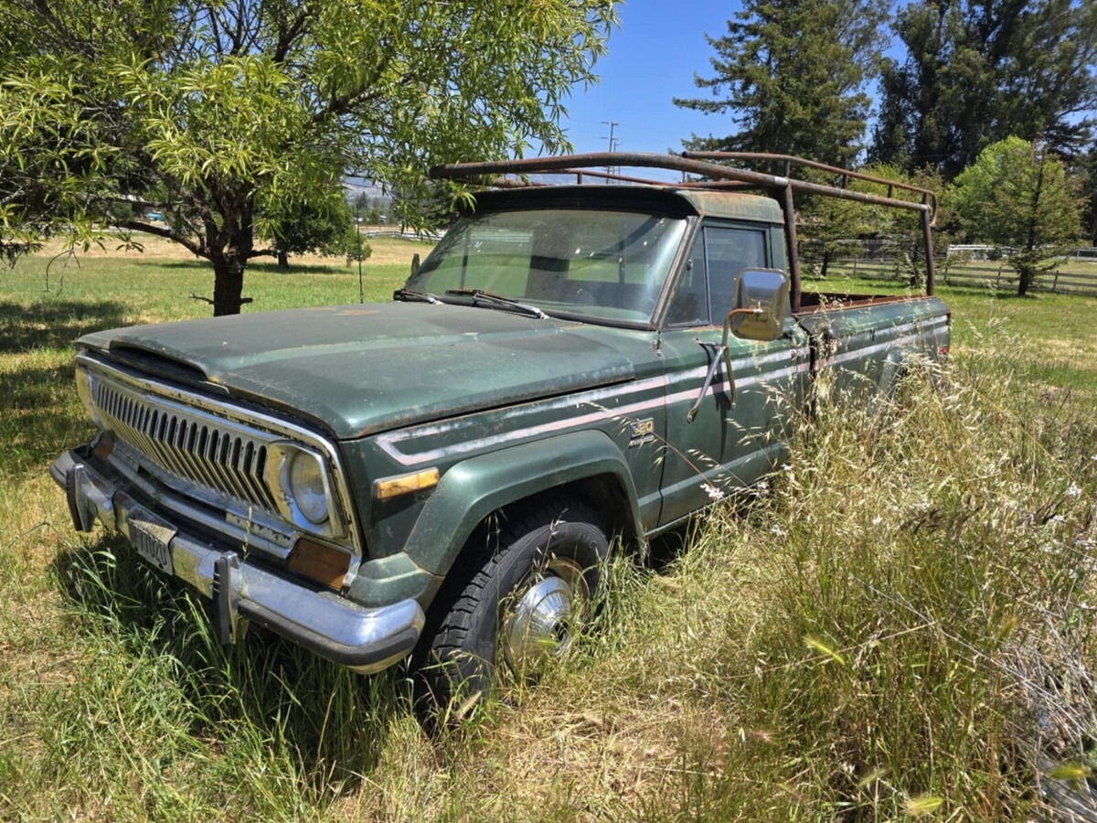 1977 Jeep Other - photo 2