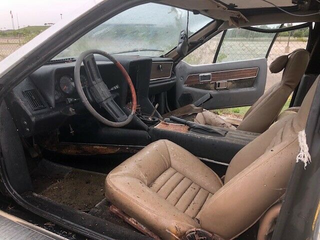 1977 Lotus Eclat - photo 7