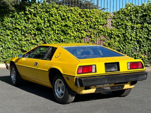 1977 Lotus Esprit - photo 8