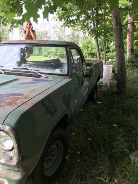 1977 Dodge Other Pickups - photo 8