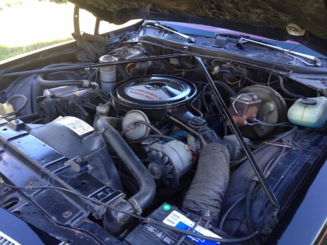 1977 Oldsmobile Cutlass - photo 2