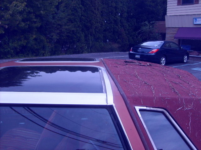 1977 Oldsmobile Cutlass - photo 11