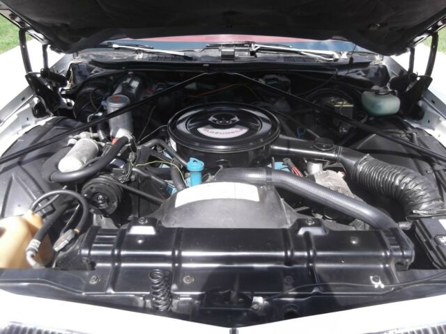1977 Oldsmobile Cutlass Cutlass Supreme - photo 7