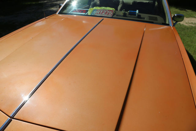 1977 Oldsmobile Ninety-Eight Regency - photo 7