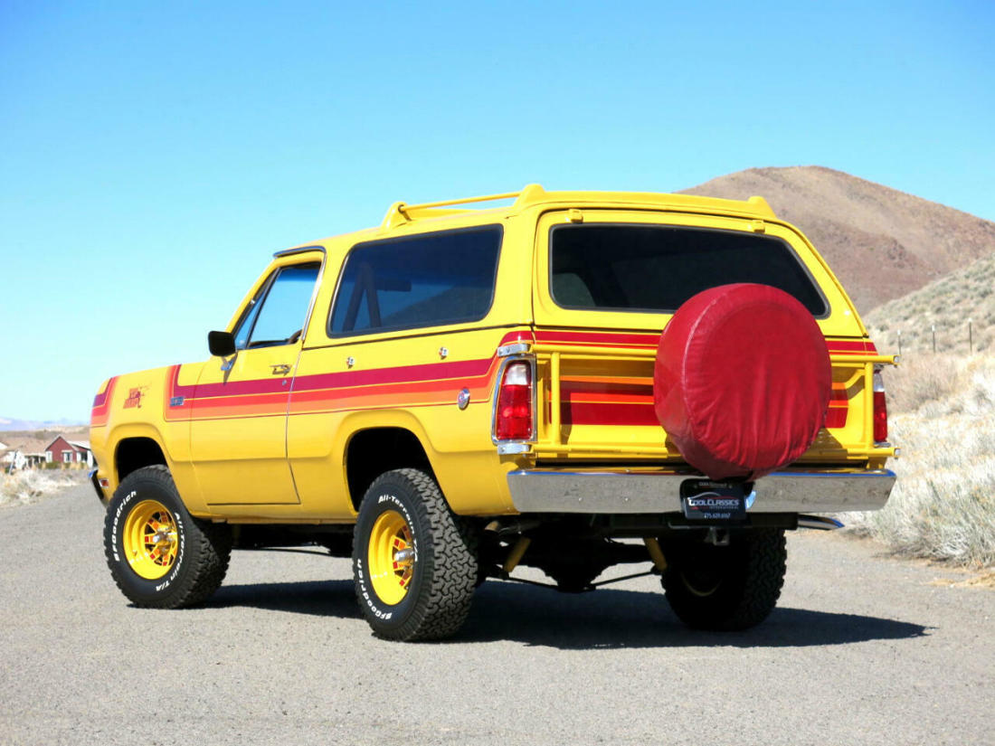 1977 Plymouth Trailduster Top Hand - photo 6