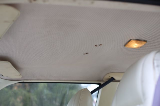 19770000 Plymouth Volare Road Runner - photo 13