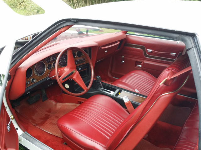 1977 Pontiac Le Mans Can Am - photo 3