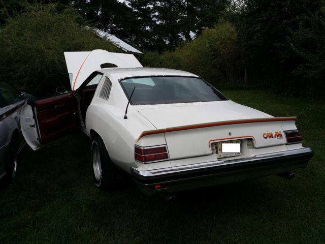 1977 Pontiac Le Mans Can Am - photo 4