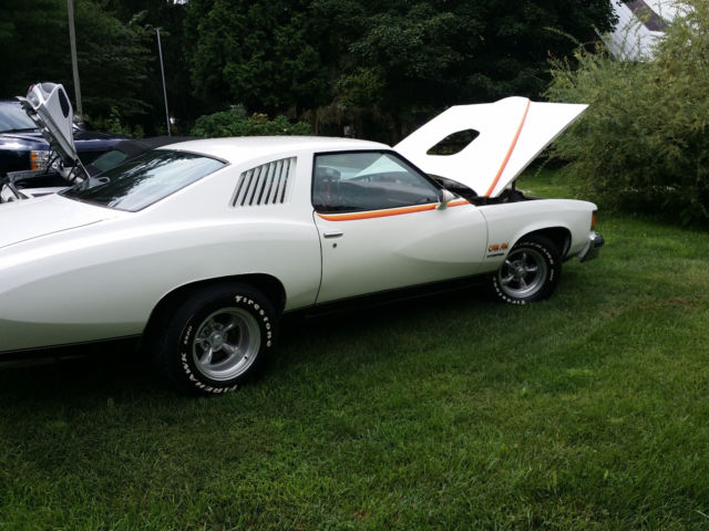 1977 Pontiac Le Mans Can Am - photo 5