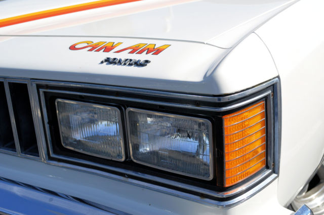 1977 Pontiac Le Mans Can Am - photo 7
