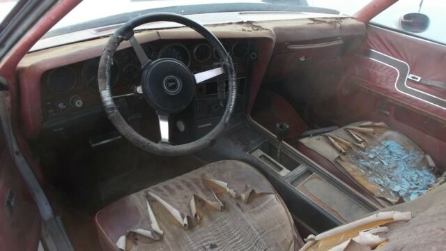 1977 Pontiac Can Am PONTIAC LEMANS SPORT COUPE Can Am - photo 11
