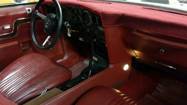 1977 Pontiac Le Mans Can Am - photo 13
