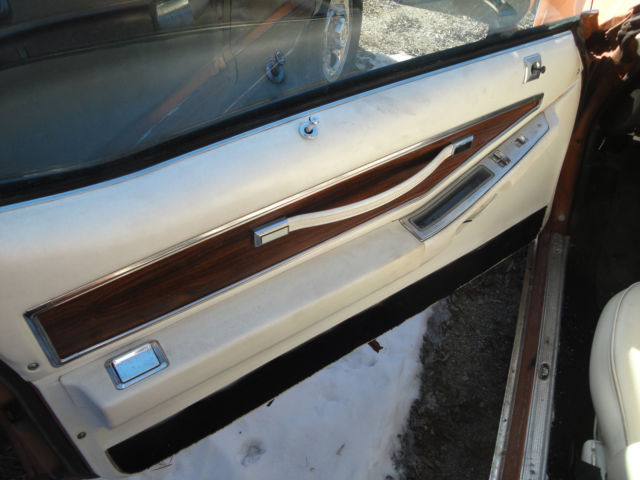 1977 Pontiac Le Mans Can Am - photo 7