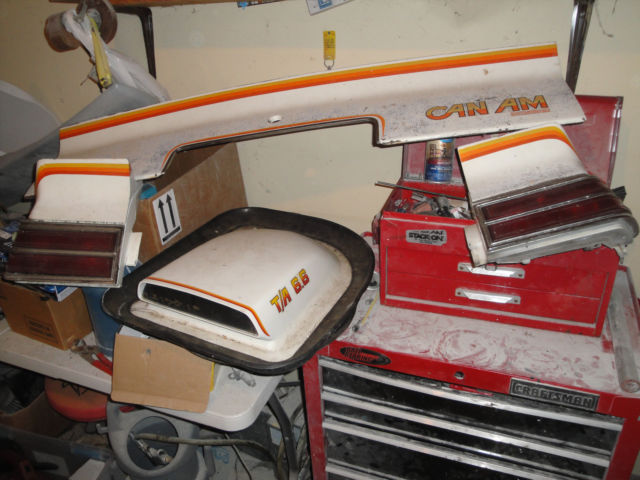 1977 Pontiac Le Mans Can Am - photo 9