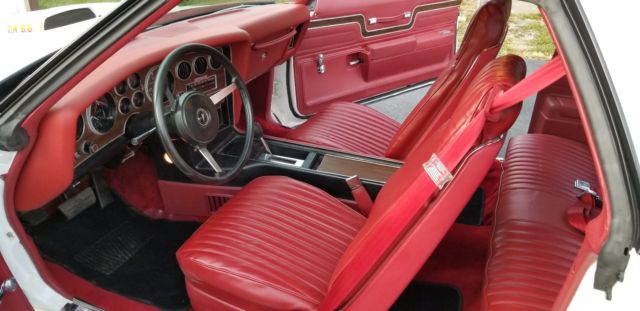 1977 Pontiac Le Mans Can Am - photo 11