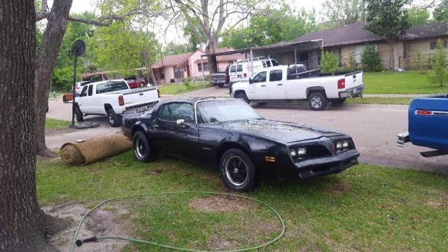 1977 Pontiac Firebird - photo 4