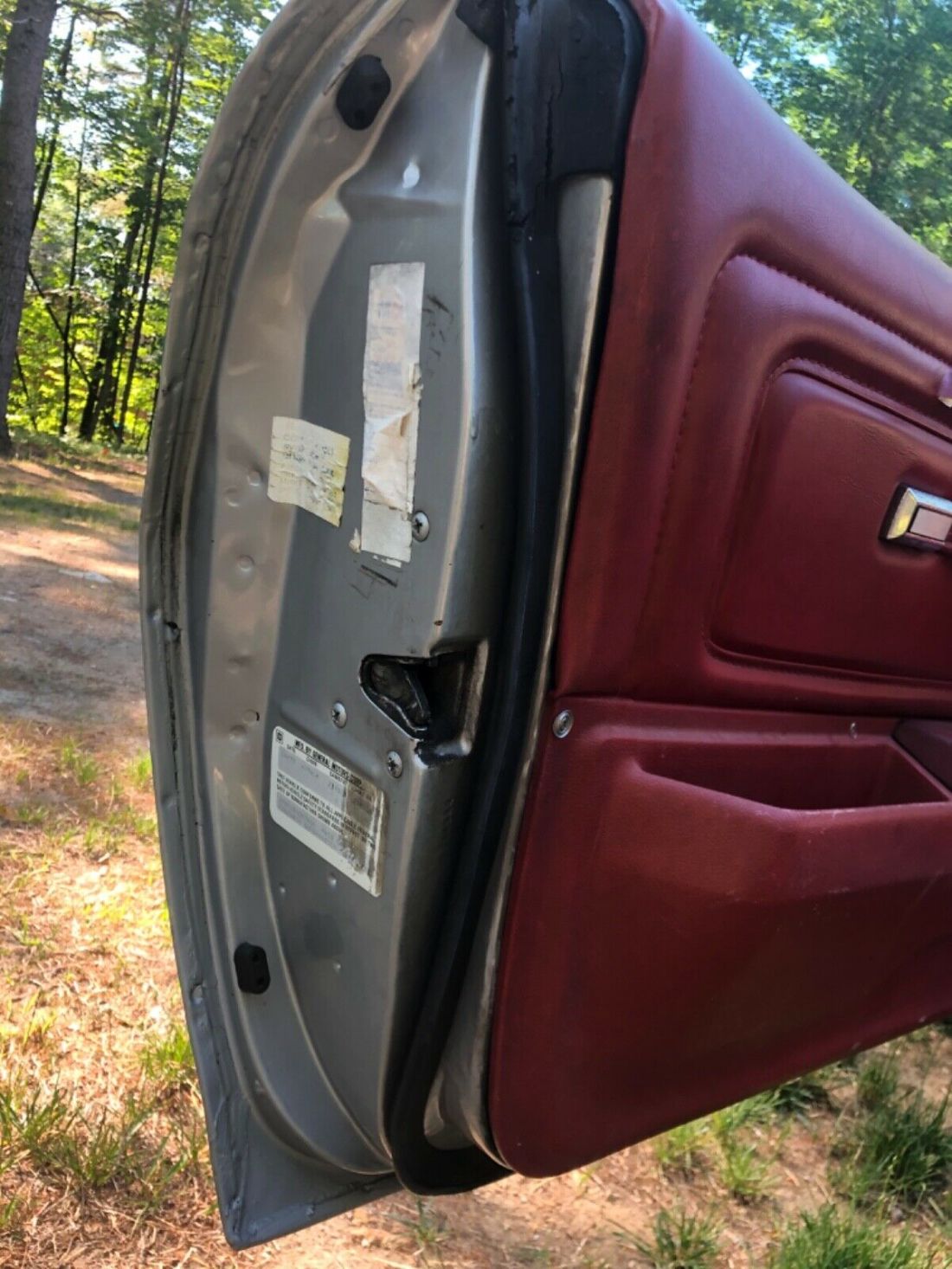 1977 Pontiac Firebird Esprit - photo 9