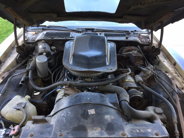1977 Pontiac Firebird - photo 8