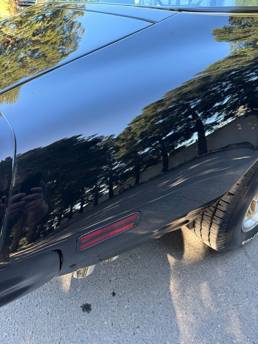 1977 Pontiac Firebird Trans Am - photo 12
