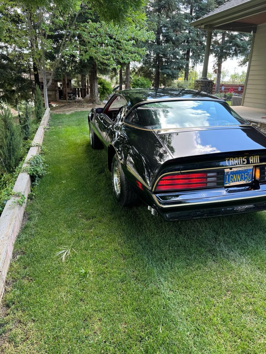 1977 Pontiac Firebird Trans Am - photo 3