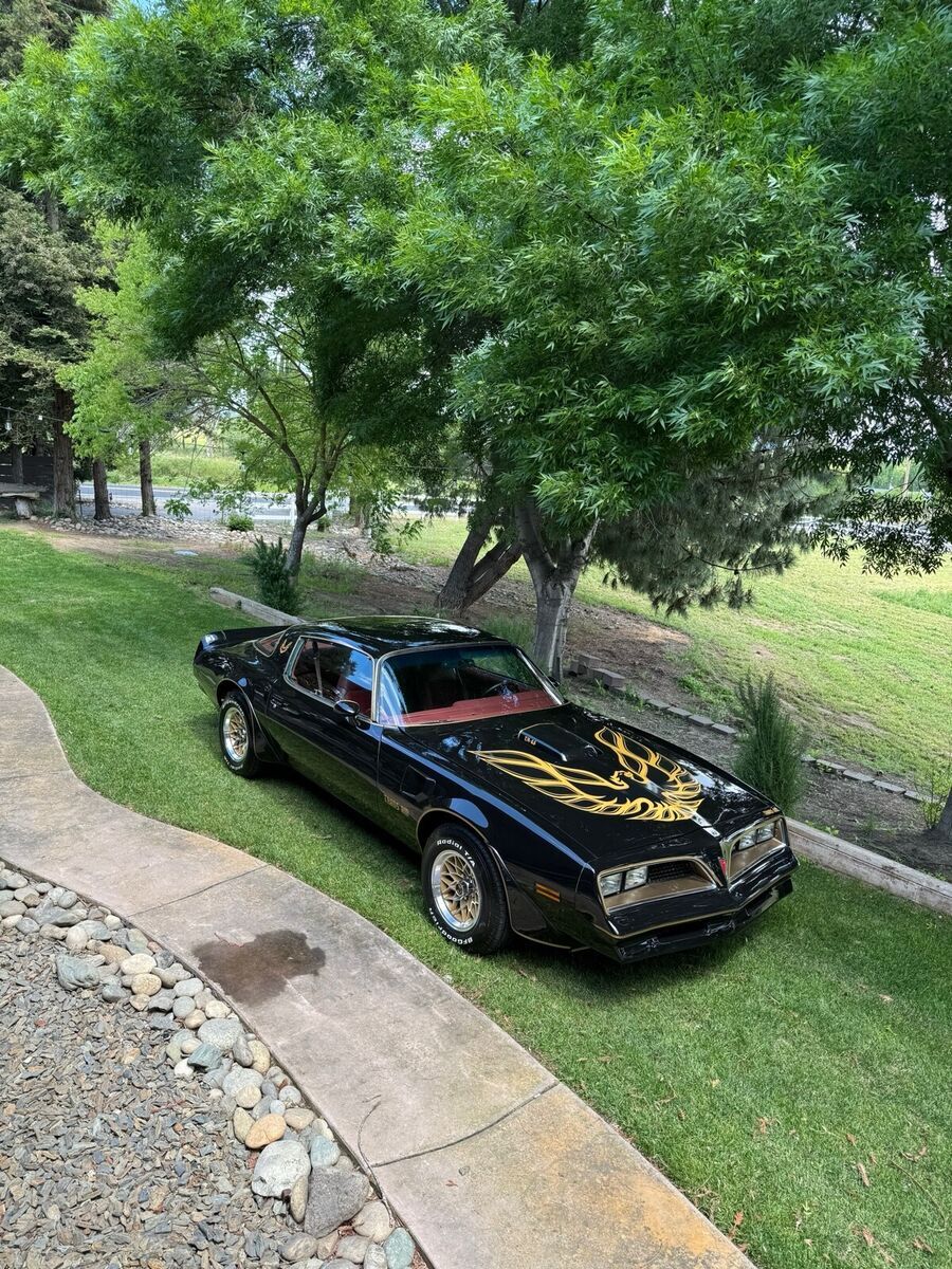 1977 Pontiac Firebird Trans Am - photo 4