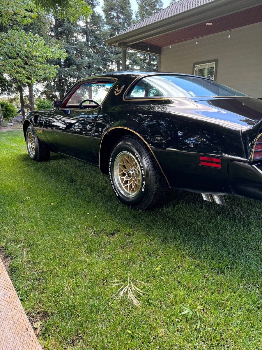 1977 Pontiac Firebird Trans Am - photo 5