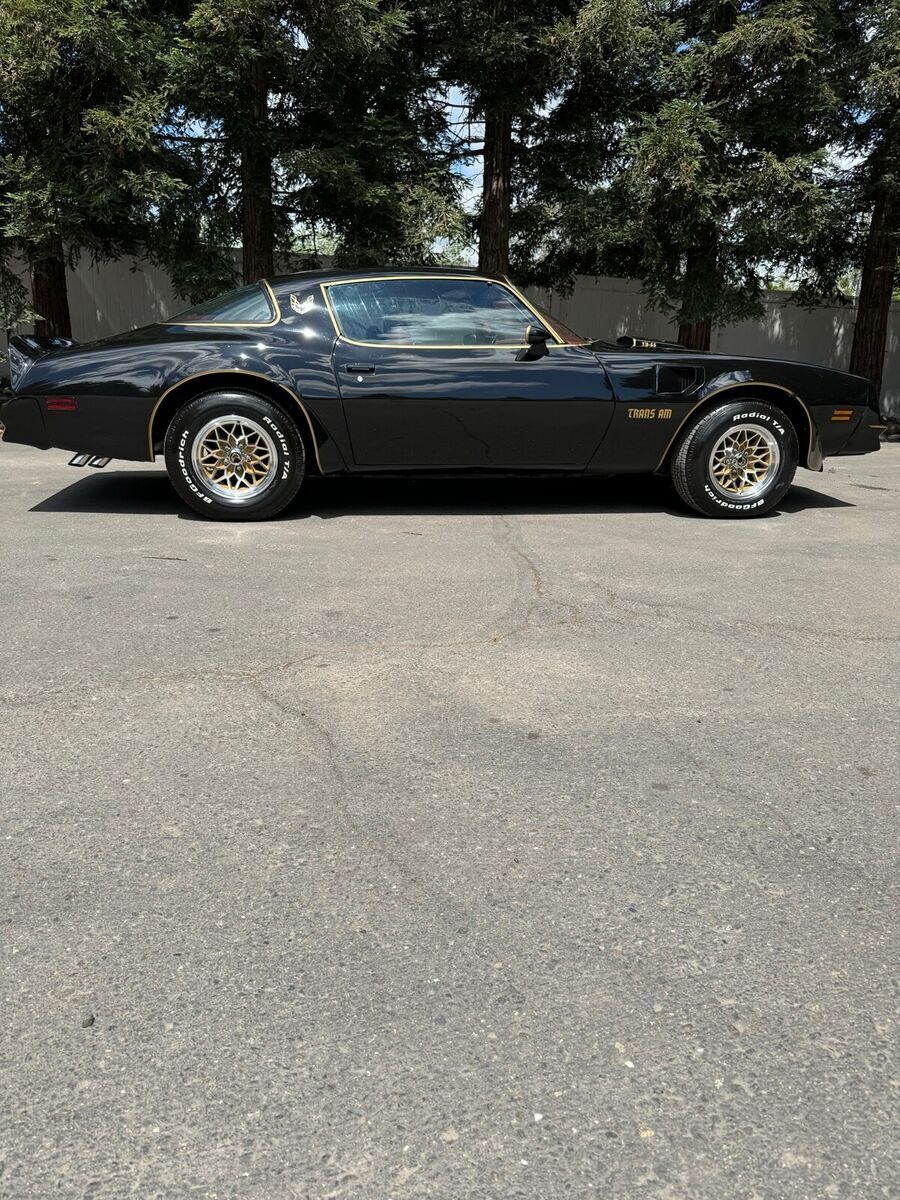 1977 Pontiac Firebird Trans Am - photo 7