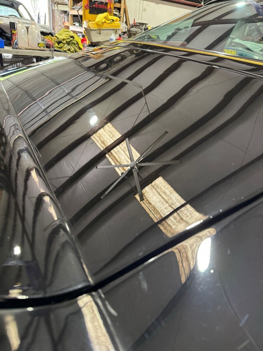 1977 Pontiac Firebird Trans Am - photo 9