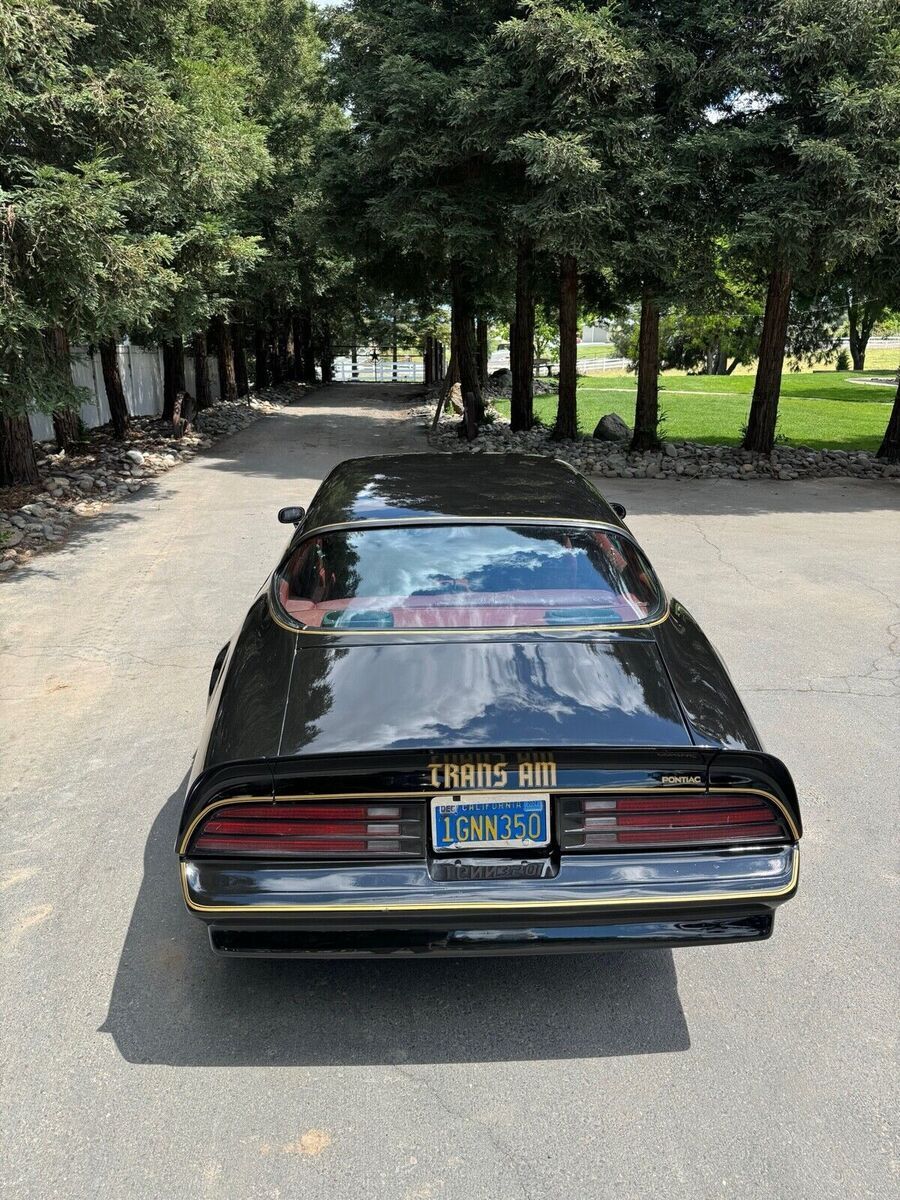 1977 Pontiac Firebird Trans Am (FREE SHIPPING) - photo 13