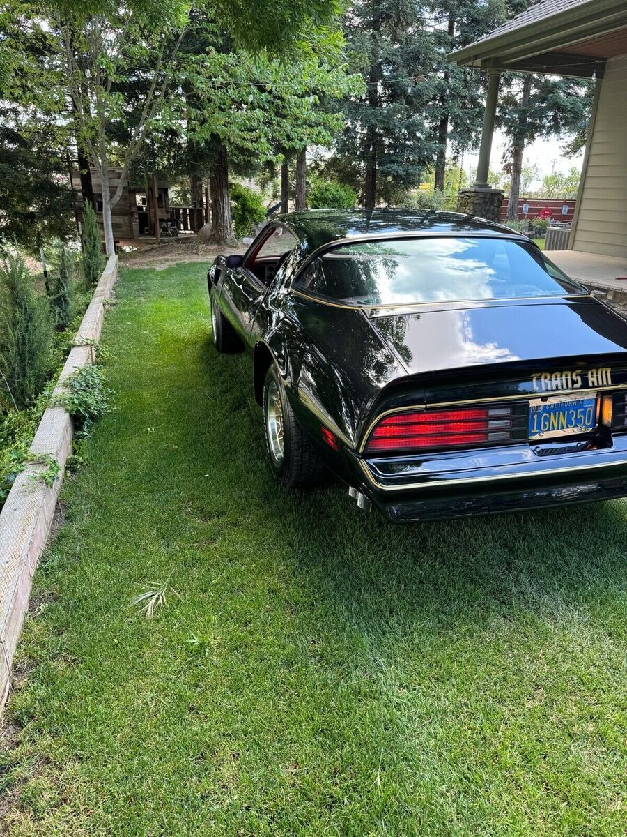 1977 Pontiac Firebird Trans Am (FREE SHIPPING) - photo 3