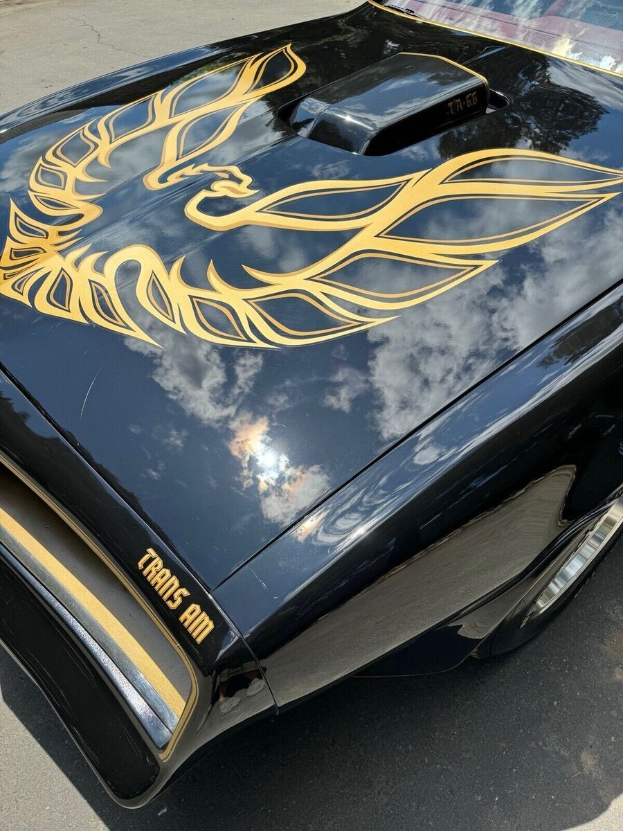 1977 Pontiac Firebird Trans Am (FREE SHIPPING) - photo 4