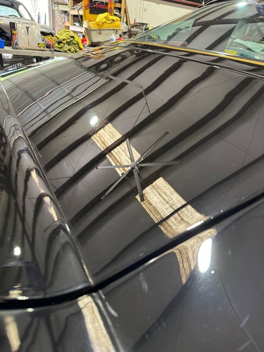 1977 Pontiac Firebird Trans Am (FREE SHIPPING) - photo 5