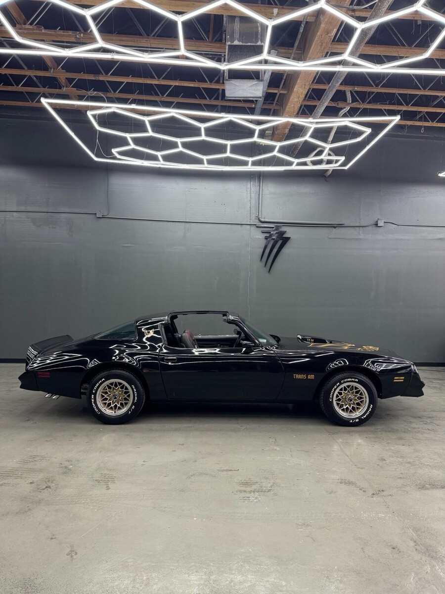 1977 Pontiac Firebird Trans Am Tribute - photo 13