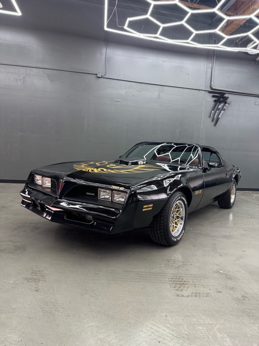 1977 Pontiac Firebird Trans Am Tribute - photo 2