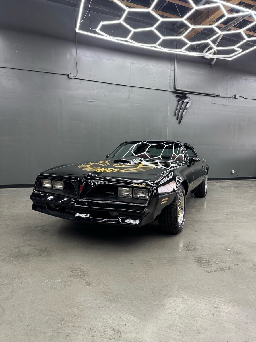1977 Pontiac Firebird Trans Am Tribute - photo 3