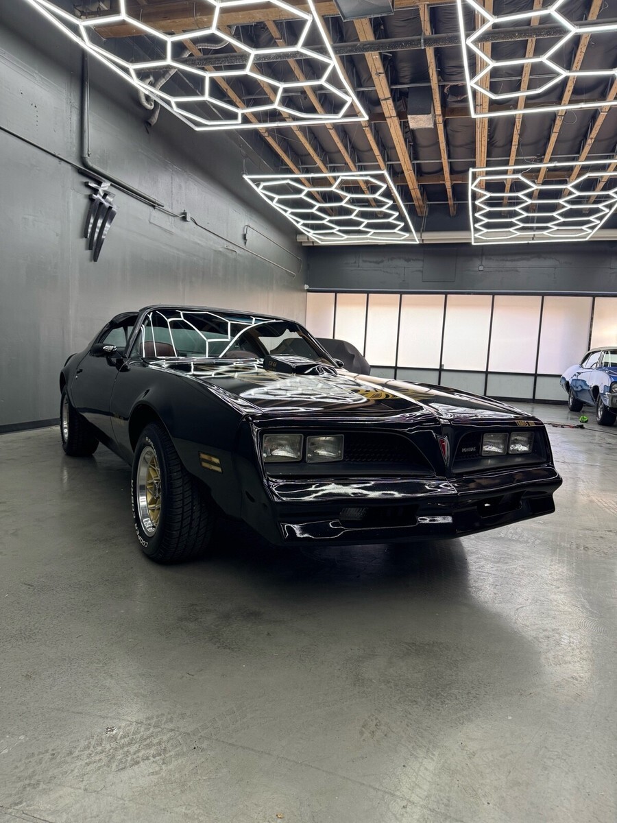 1977 Pontiac Firebird Trans Am Tribute - photo 4