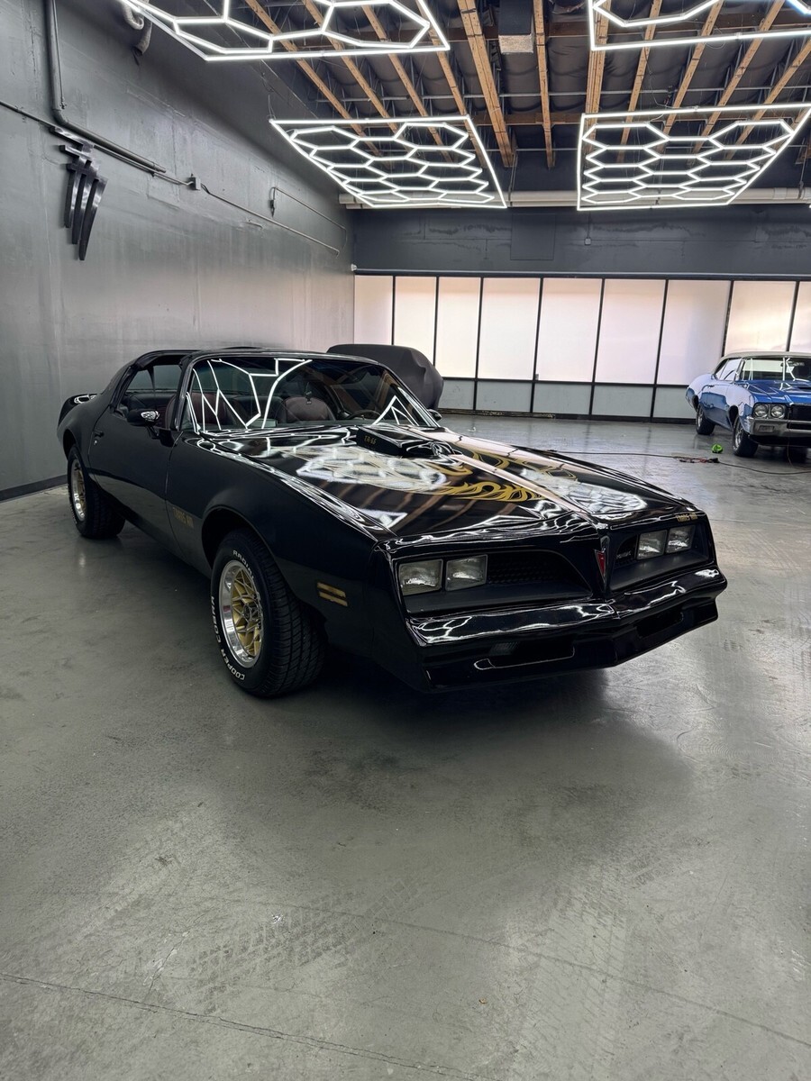 1977 Pontiac Firebird Trans Am Tribute - photo 5