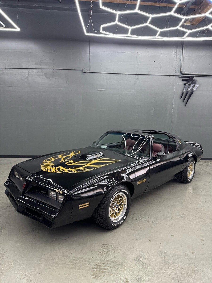 1977 Pontiac Firebird Trans Am Tribute - photo 6