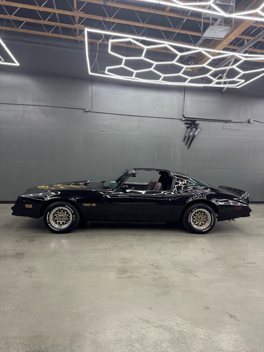 1977 Pontiac Firebird Trans Am Tribute - photo 7