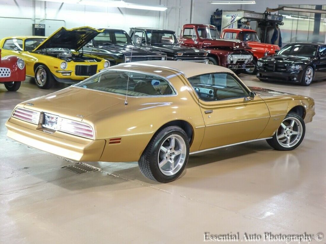 1977 Pontiac Firebird coupe - photo 10