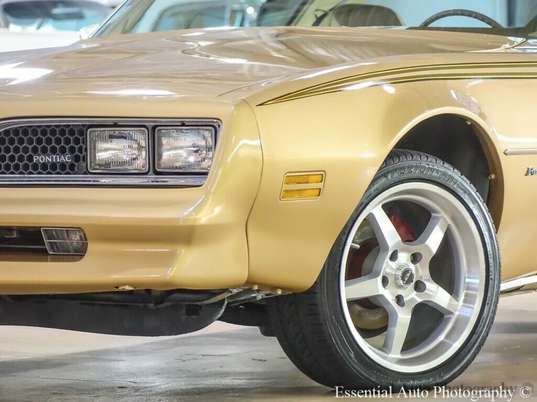 1977 Pontiac Firebird coupe - photo 3