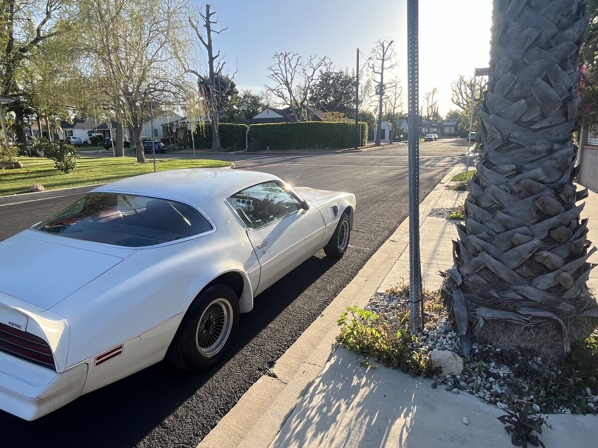 1977 Pontiac Firebird Factory four-speed all original low miles - photo 2