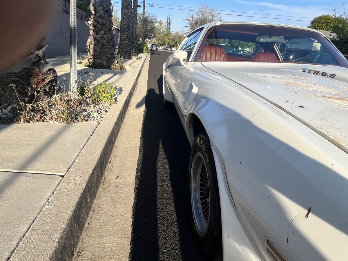 1977 Pontiac Firebird Factory four-speed all original low miles - photo 8