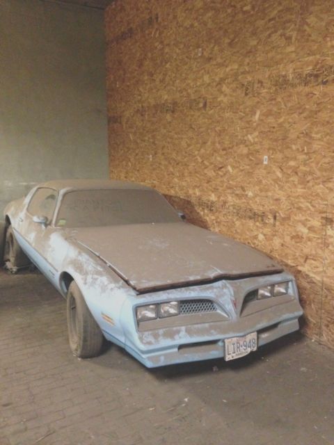 1977 Pontiac Firebird Espirit Skybird - 350 V8 - 1 Owner - 8073 ACTUAL MILES 1977 Pontiac Firebird Skybird