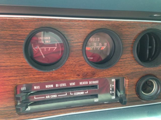 1977 Pontiac Firebird Skybird - photo 10